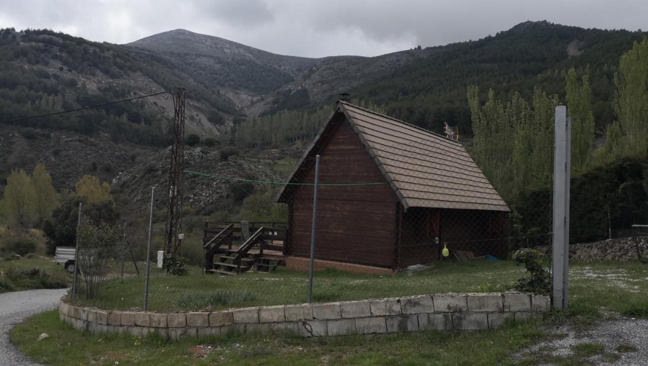 Víboras Güéjar Sierra