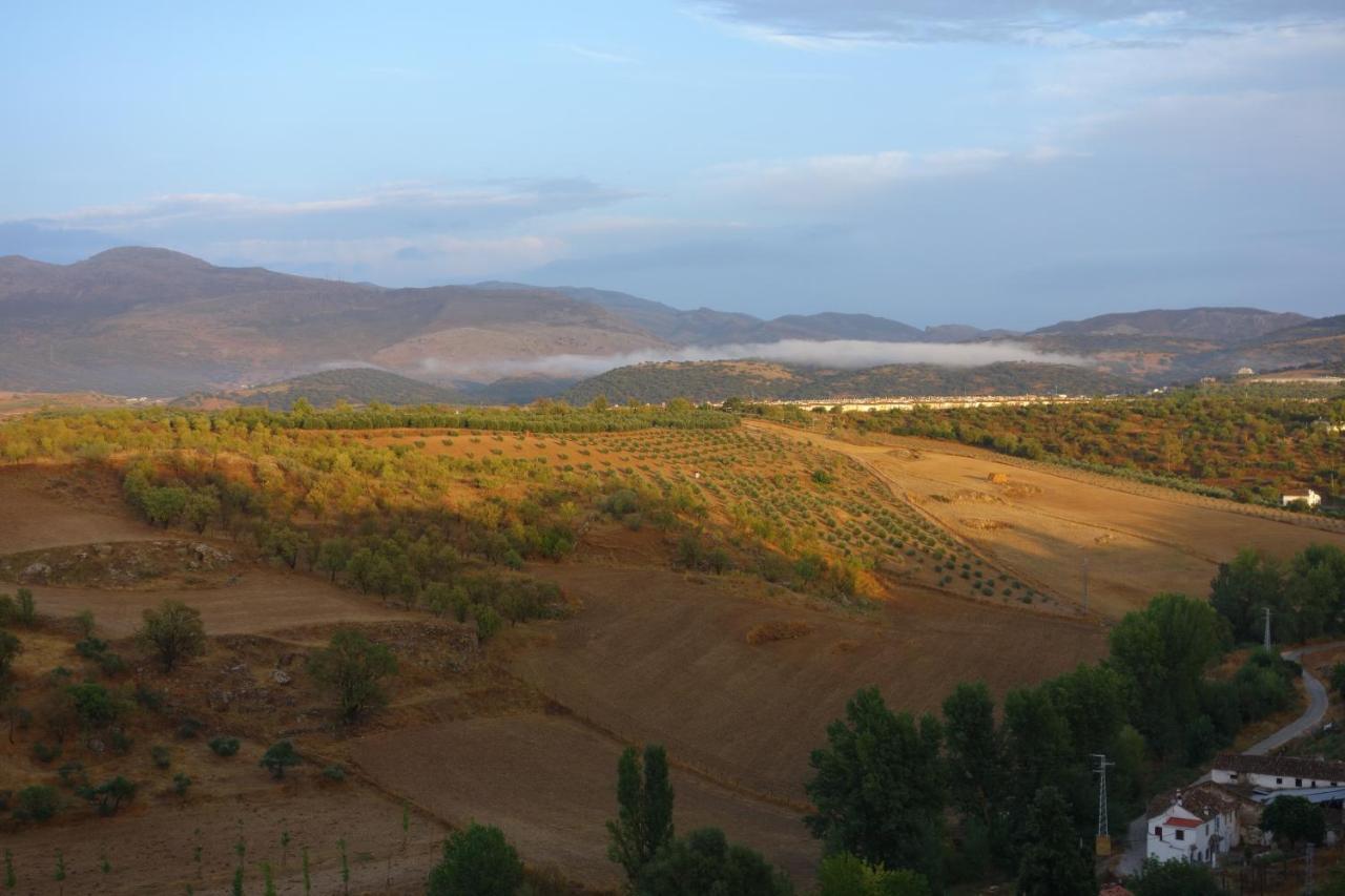La Escondida Ronda, Bed and breakfast