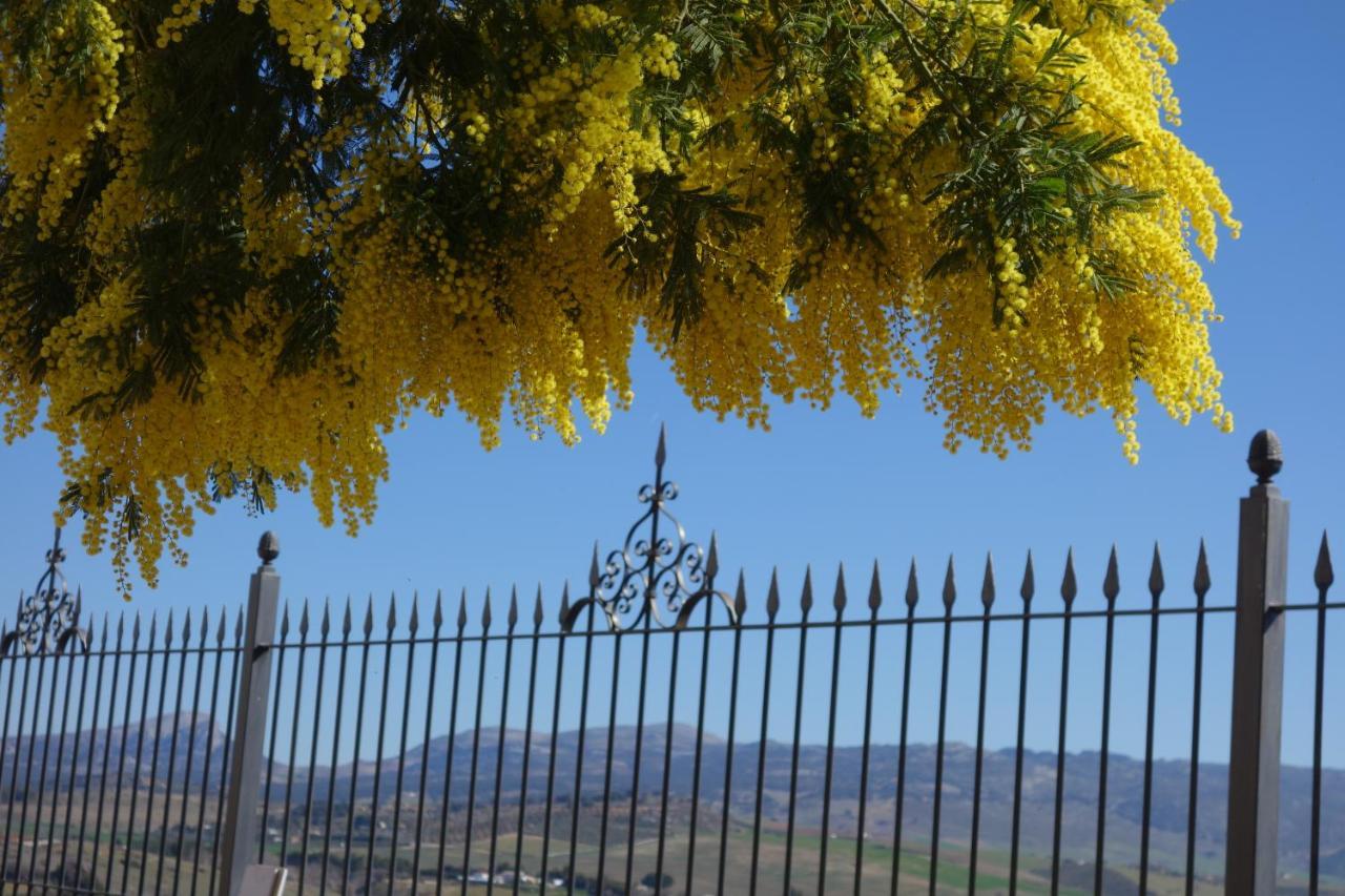 La Escondida Ronda, Bed and breakfast