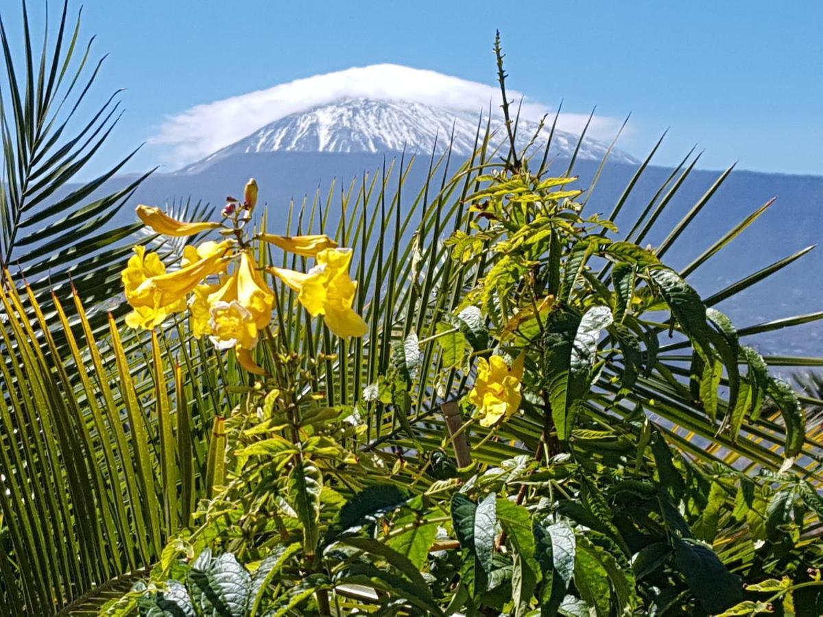 Bed & Breakfast Tenerife S. C. *