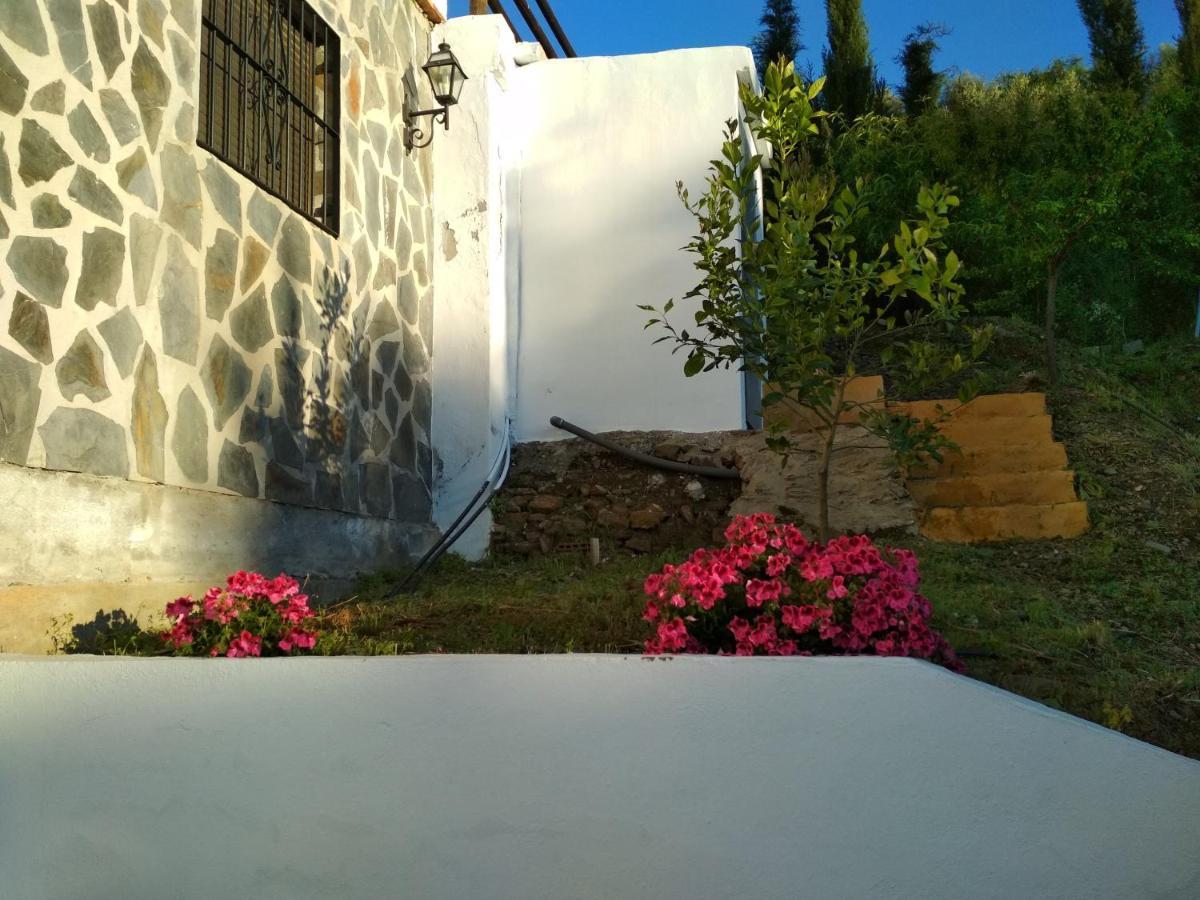 Encinas Costa Del Sol Chalet
