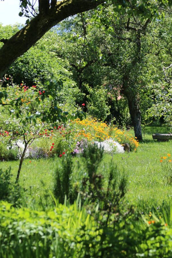 Bed & Breakfast Pazo De Chaioso Ribeira Sacra Maceda