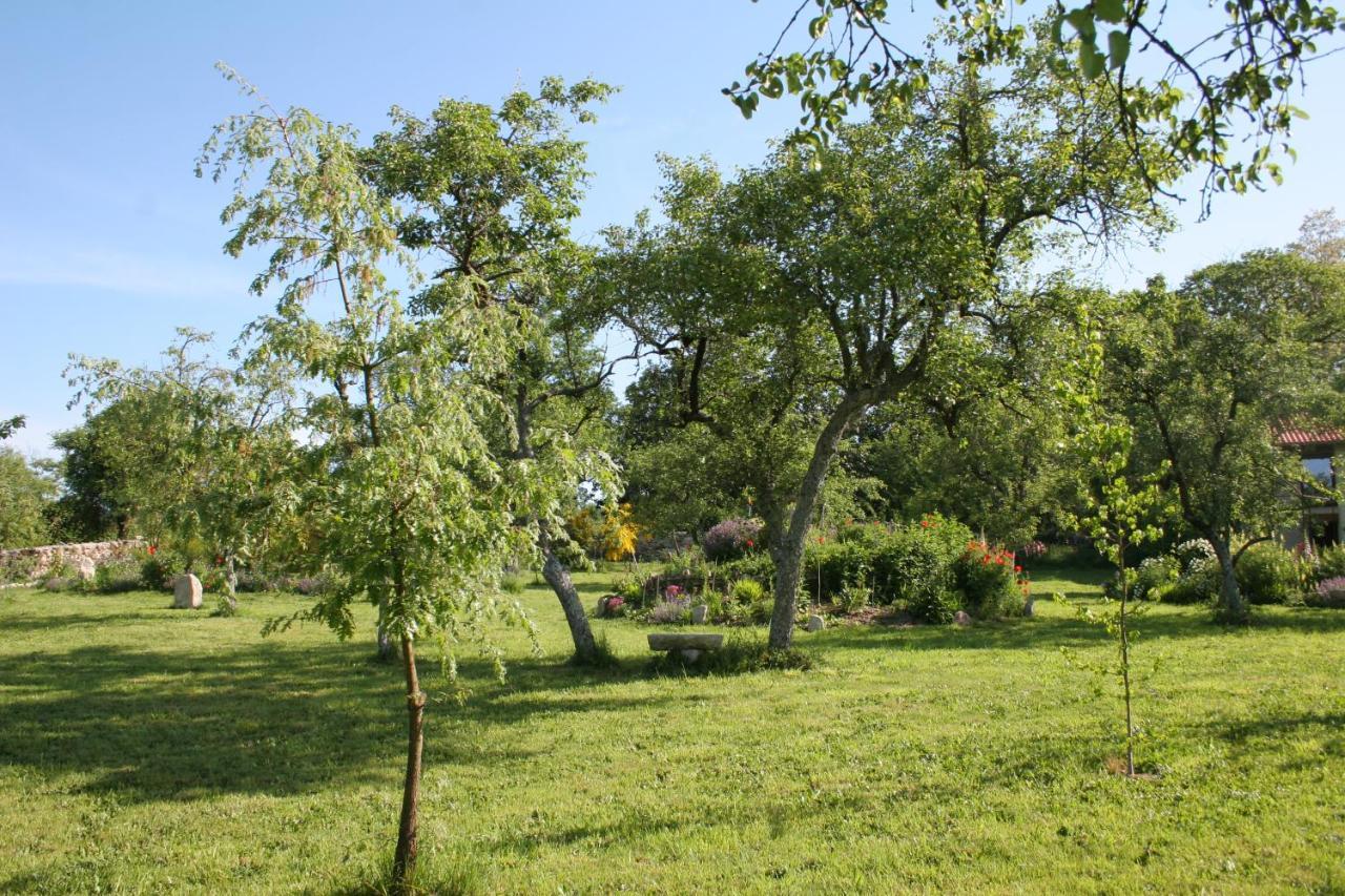 Bed & Breakfast Pazo De Chaioso Ribeira Sacra 4*