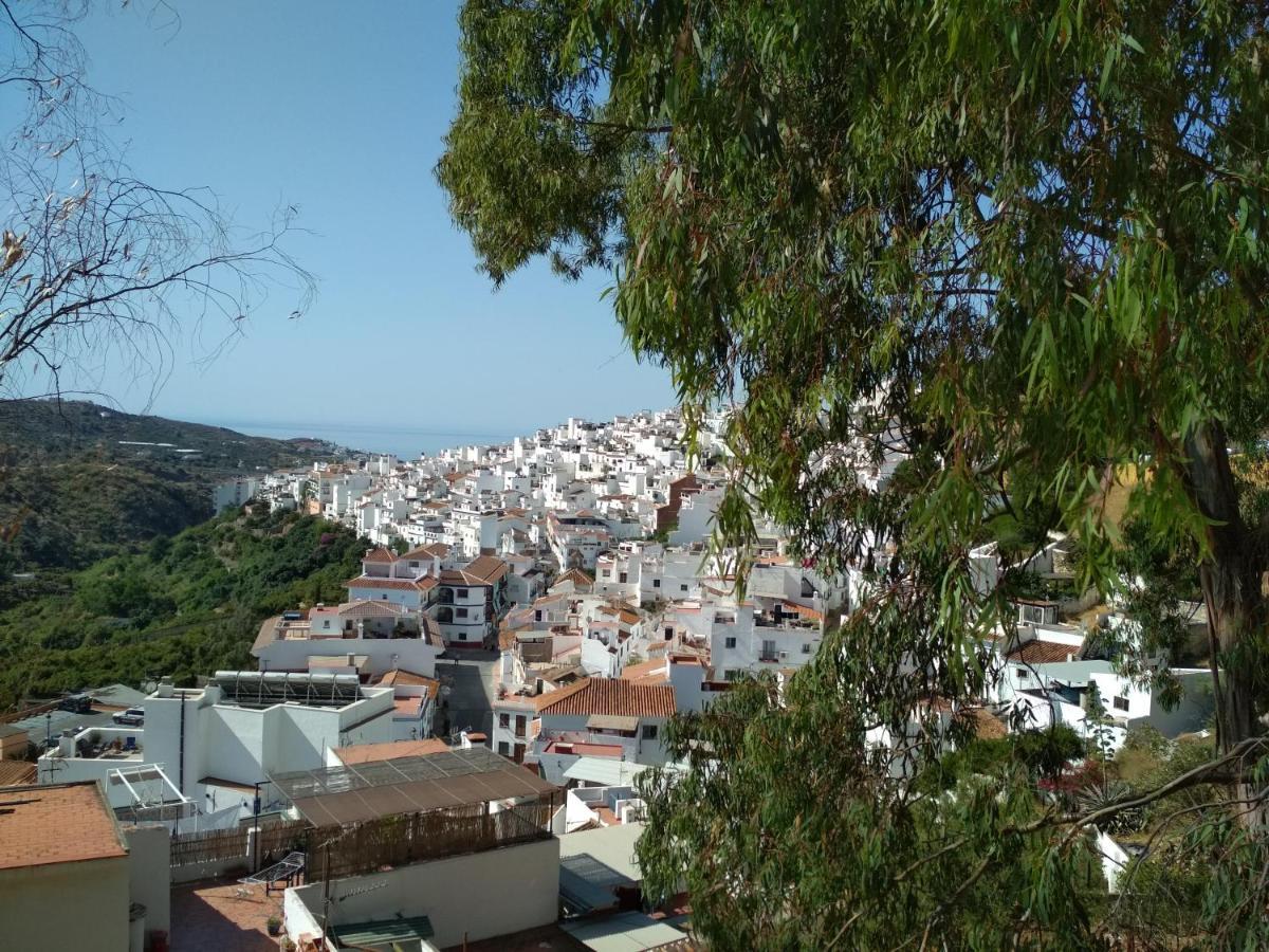 Encinas Costa Del Sol *