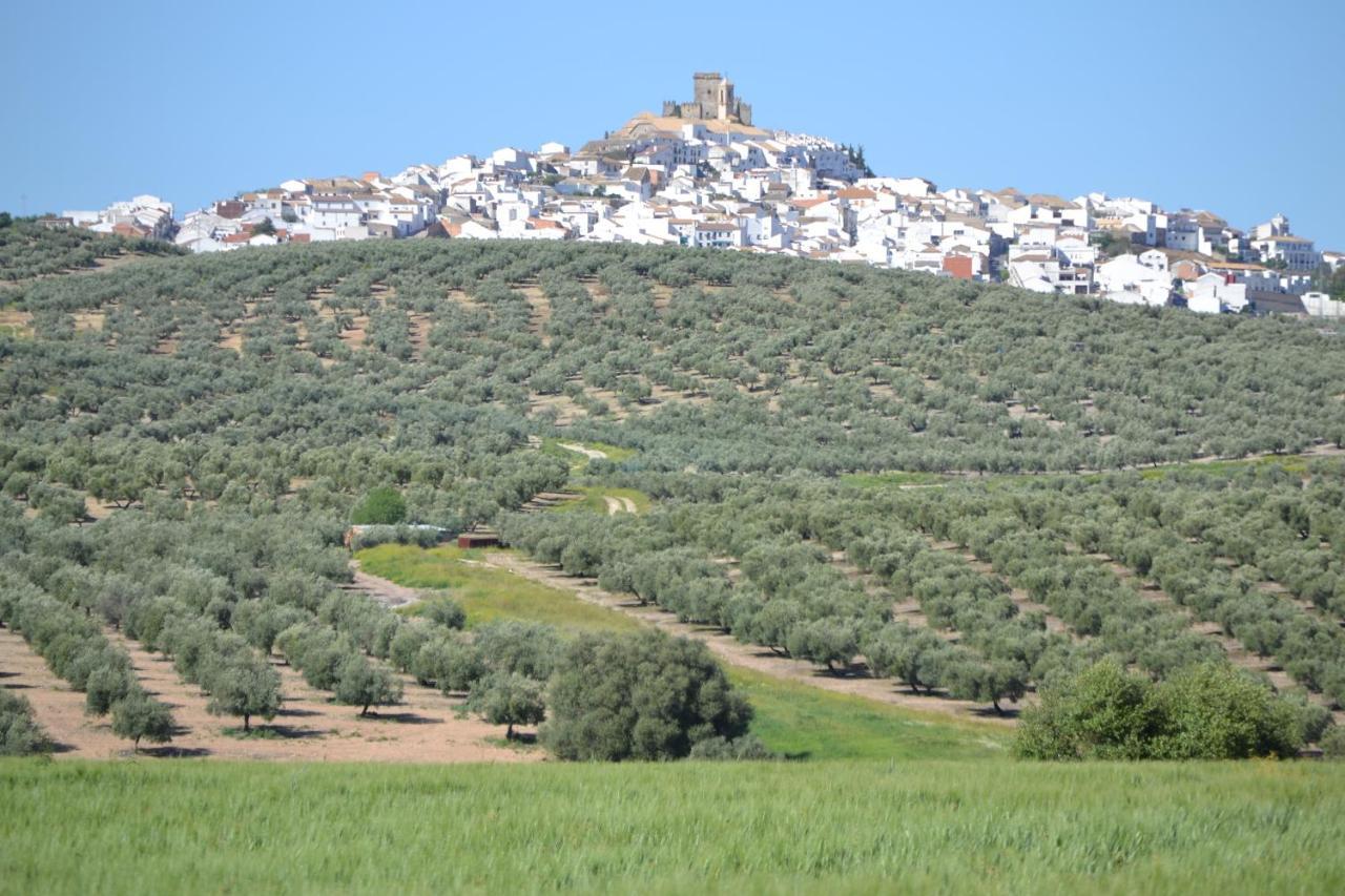 Casa Almara 3* Espejo (Andalucia)