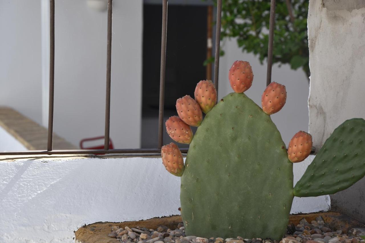 Casa Almara Bed and breakfast 3*