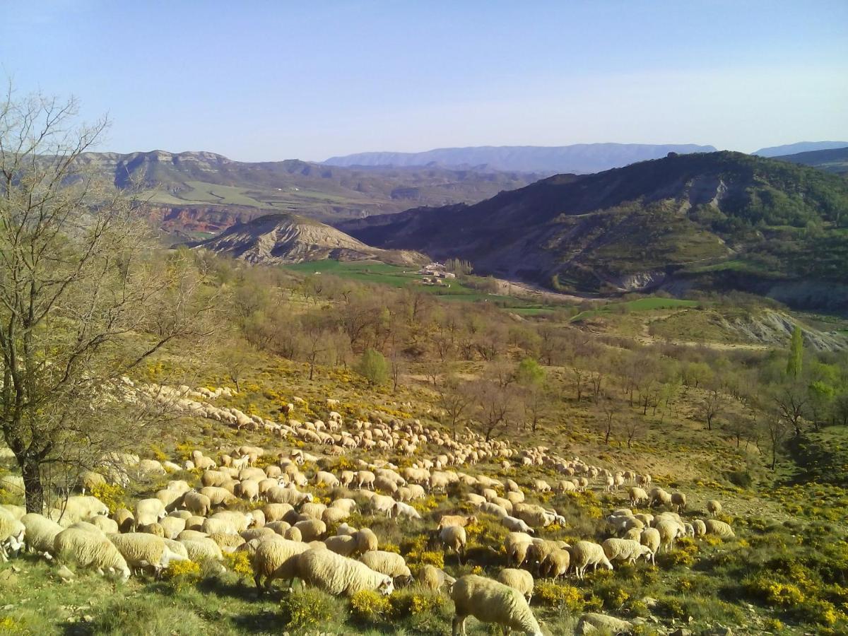 Casa Bernat Aren