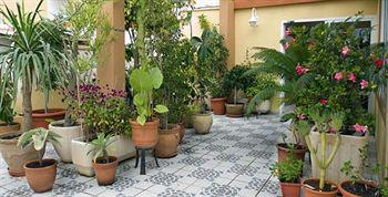 Hotel Levante 3*