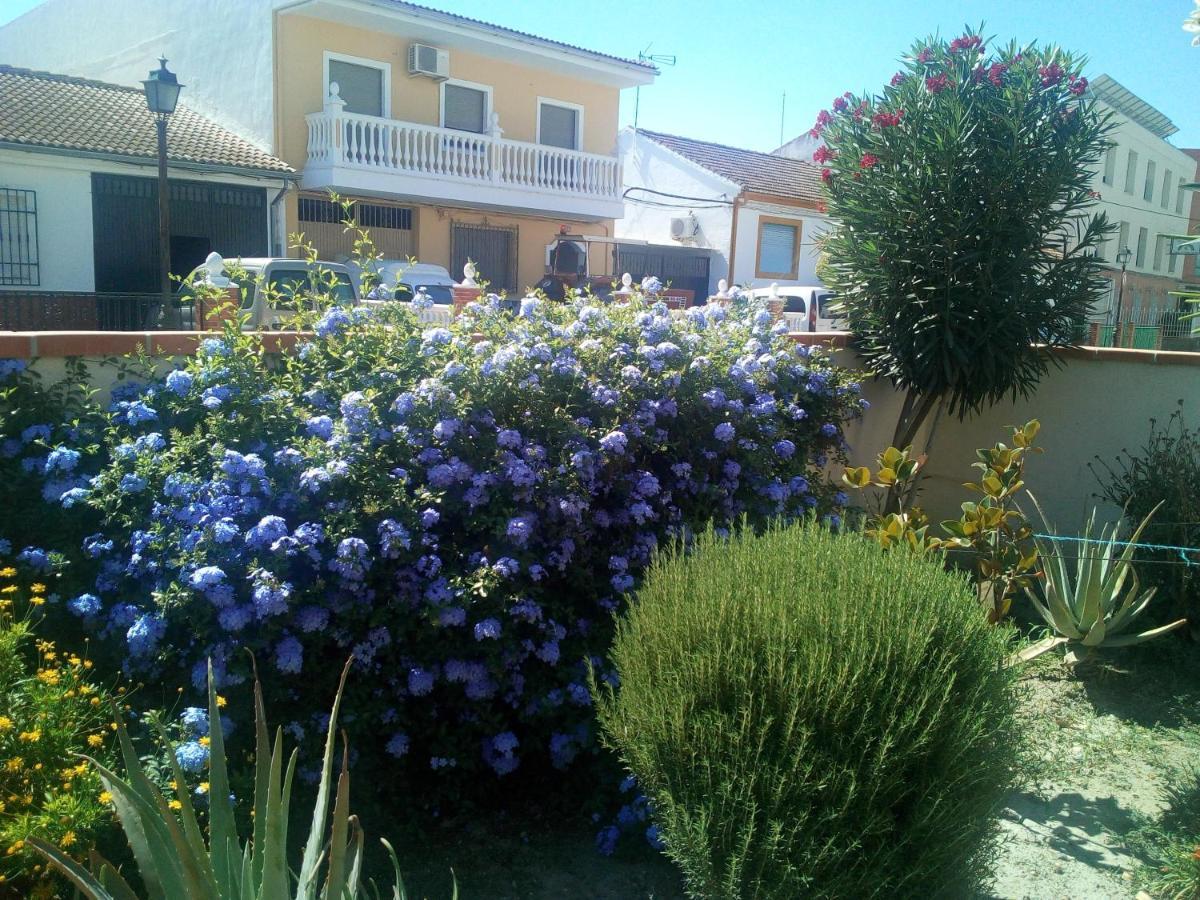 Casa De Mar Y Kanela 17 Km Granada *