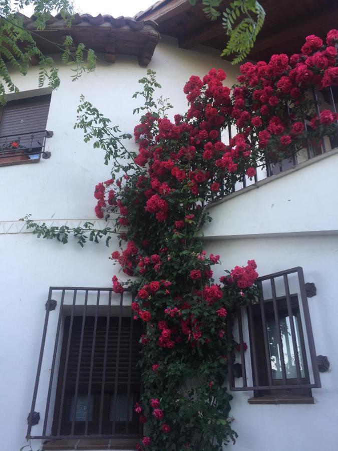 Lodge - Al Alba