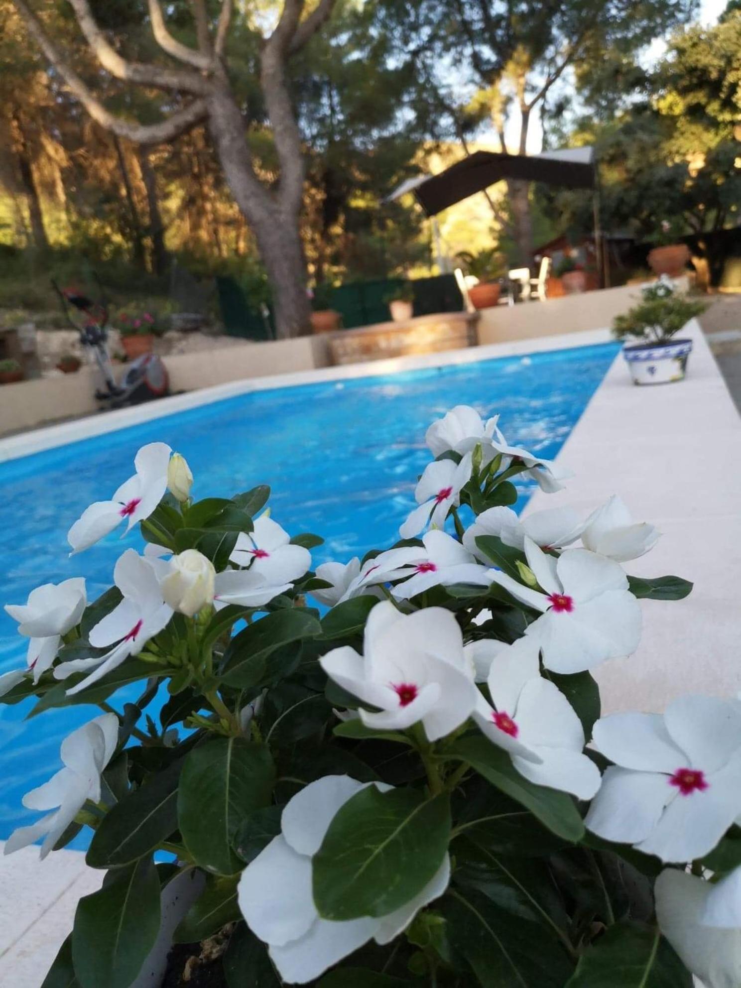 Bed and breakfast Casa Jetizo *