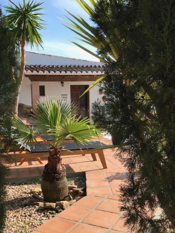 Cortijo Loma León Bed and breakfast Cutar