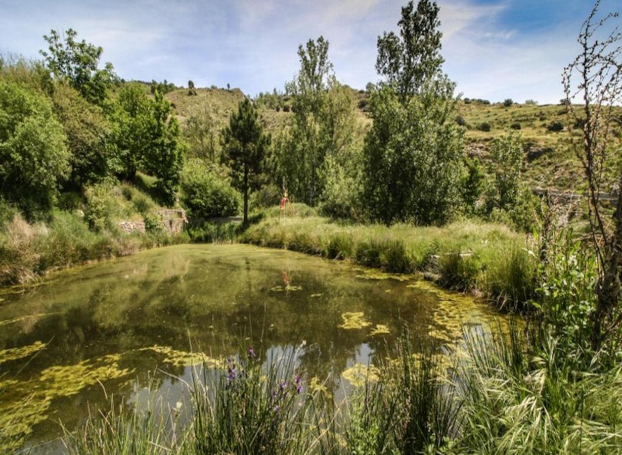 Bed and breakfast Cortijo Solera