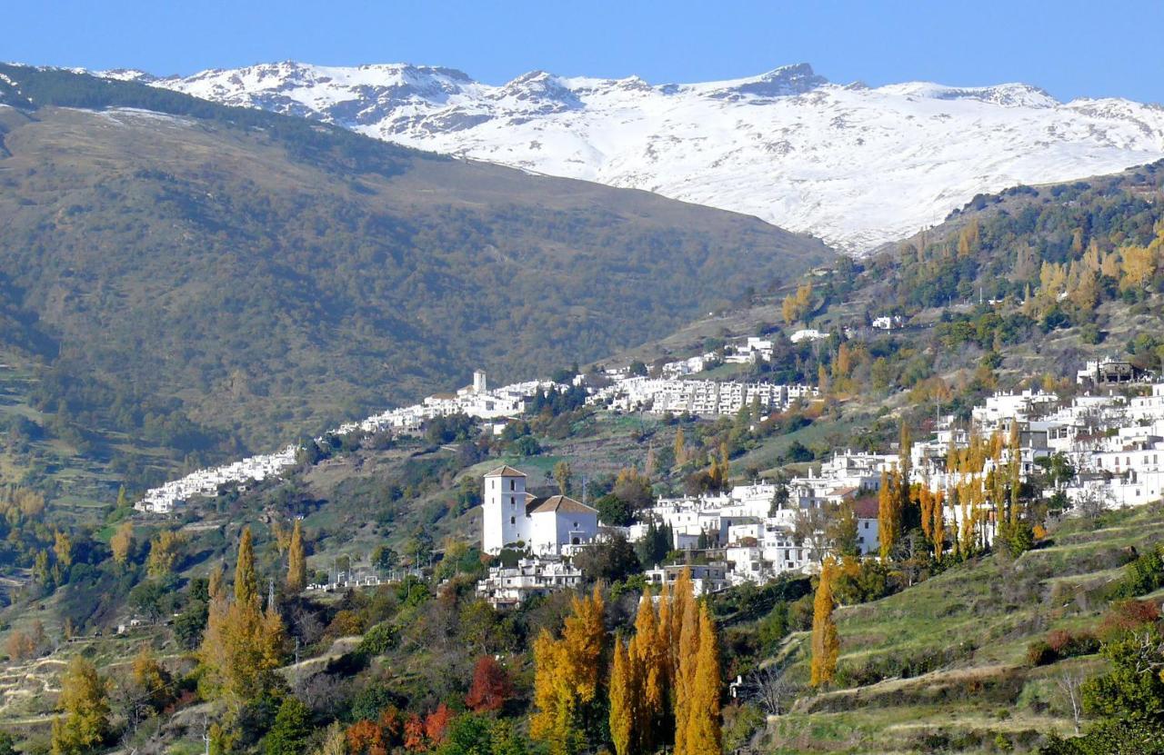 Bed and breakfast Cortijo Solera *