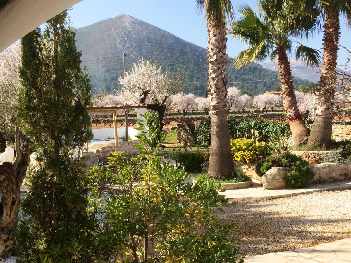 Buena Idea - Adults Only 3* Jalon