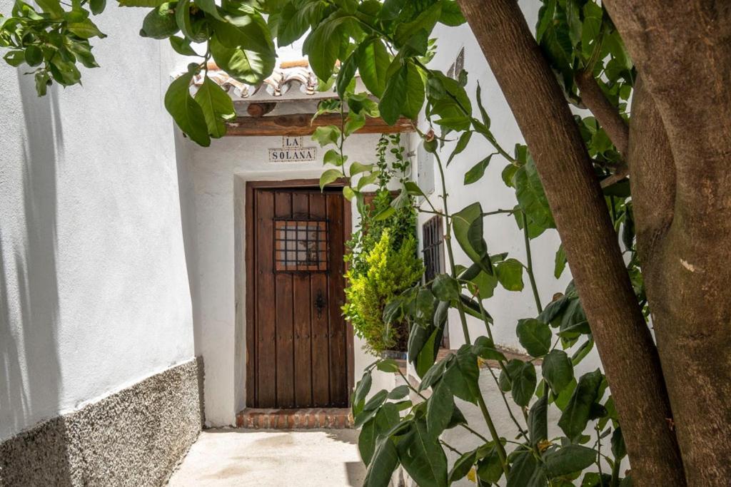 Casa Solana Chalet *