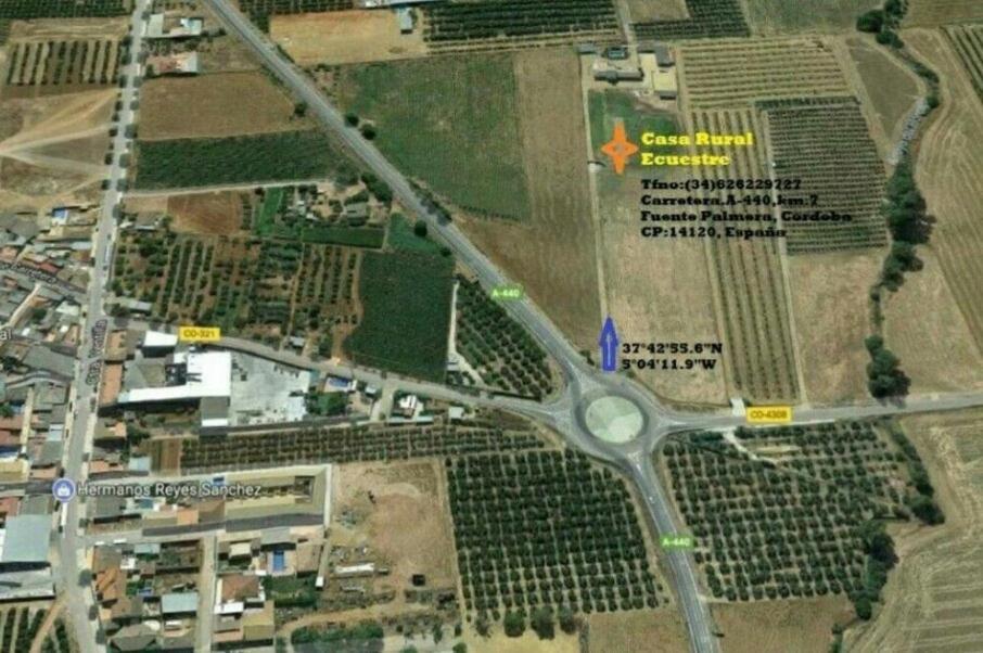 Casa Ecuestre Carmen Martinez Bed & Breakfast