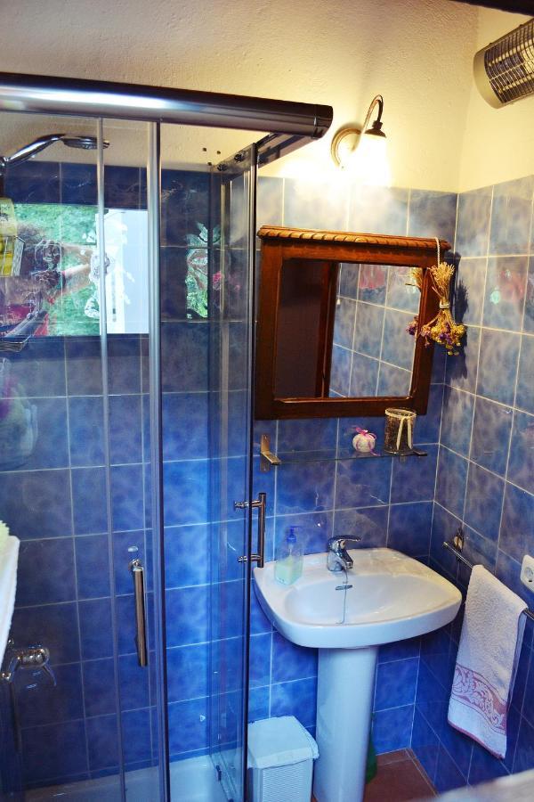 Bed & Breakfast Etxaluze Ormaiztegui