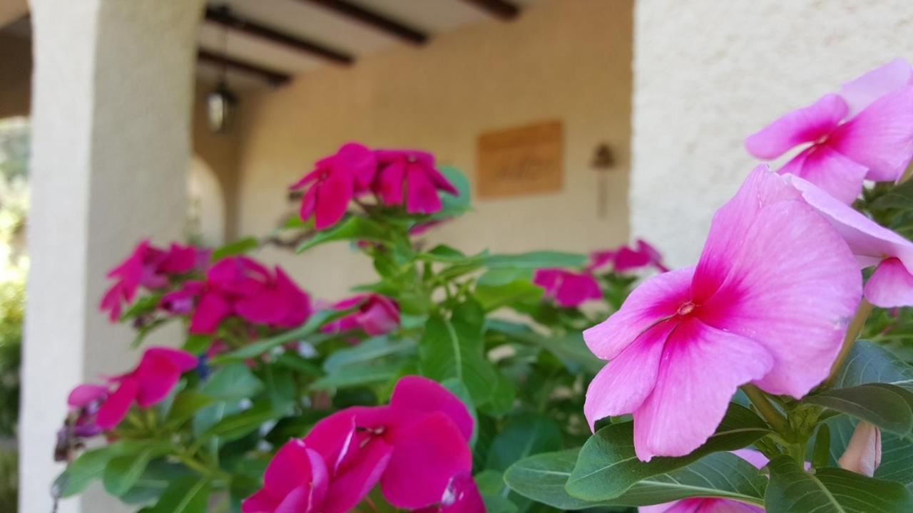 Bed and breakfast Casa Jetizo Ontinyent (Onteniente)