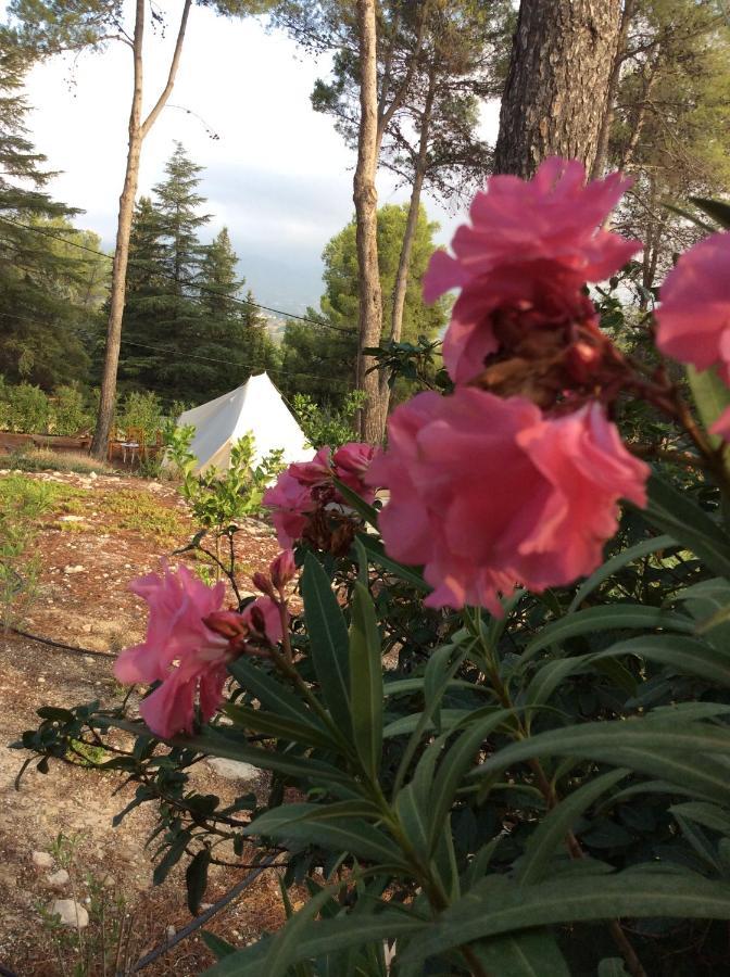 Bed and breakfast Casa Jetizo *
