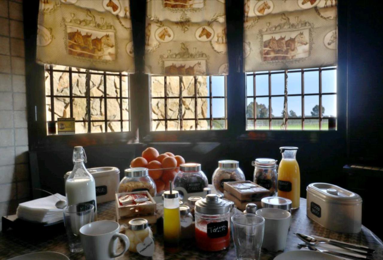 Casa Ecuestre Carmen Martinez Bed & Breakfast Fuente Palmera
