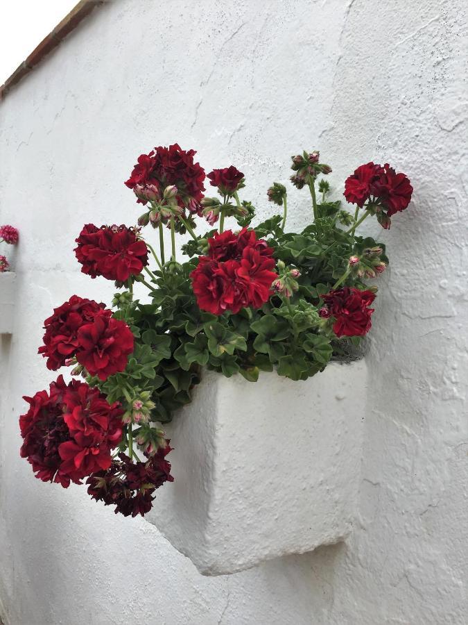 Bed and breakfast Casa Torres Iznate