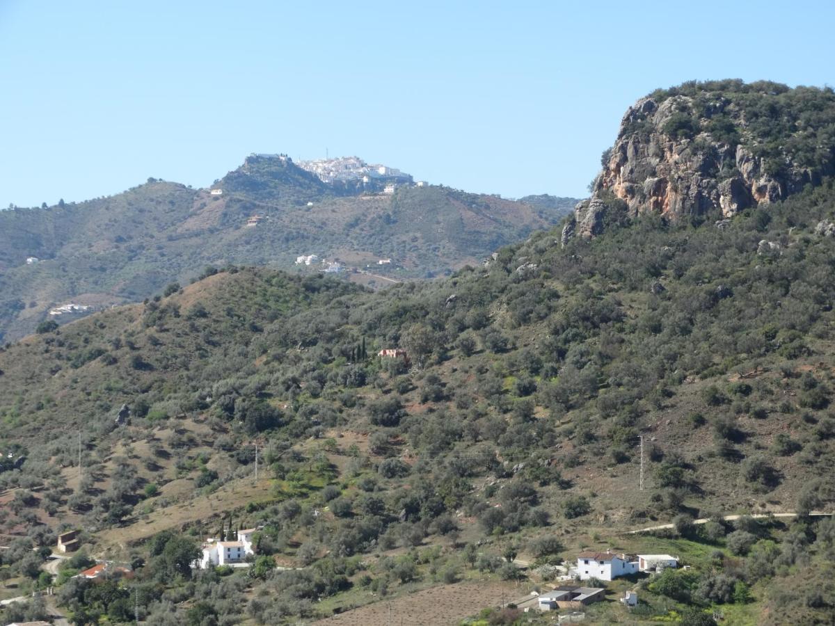Cortijo Loma León * Cutar