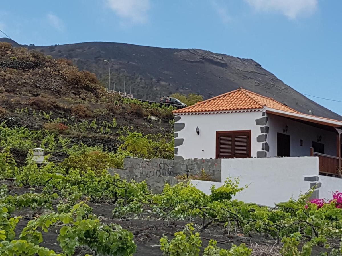 Casa Vinas *
