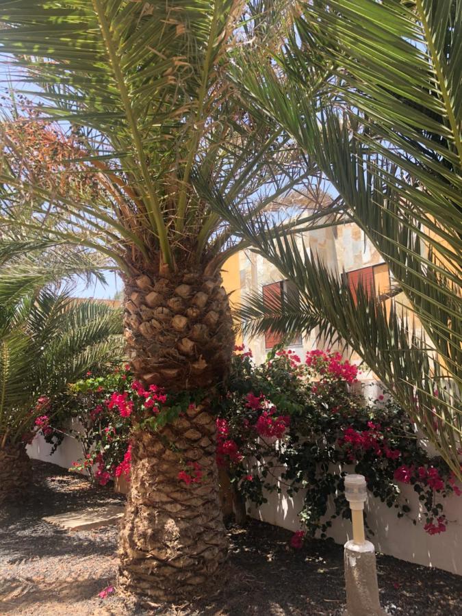 Apartamento Sunny Complex Amaya Fuerteventura *