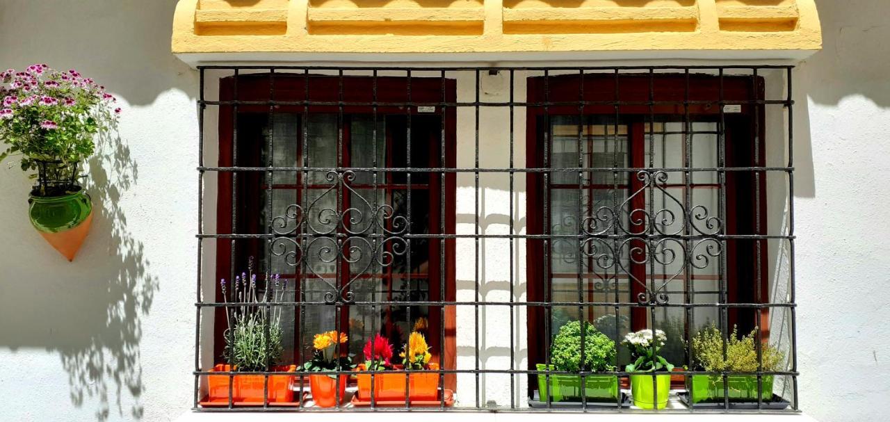 Apartamento Pueblo Laguna 7