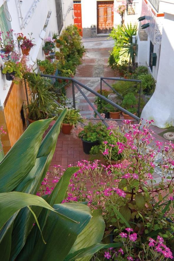 Apartment Mirador Del Valle