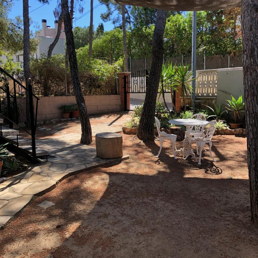 Apartamento Entre Pinos P1