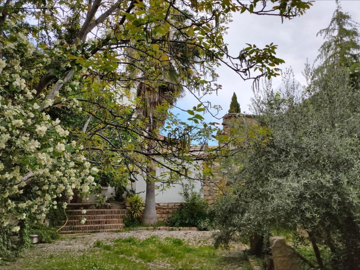 Сasa de vacaciones Casa Palacio El Caballero De Malta *