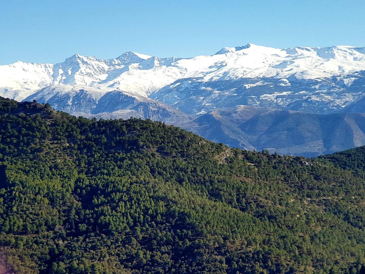 Rincón Del Genil * Cenes De La Vega