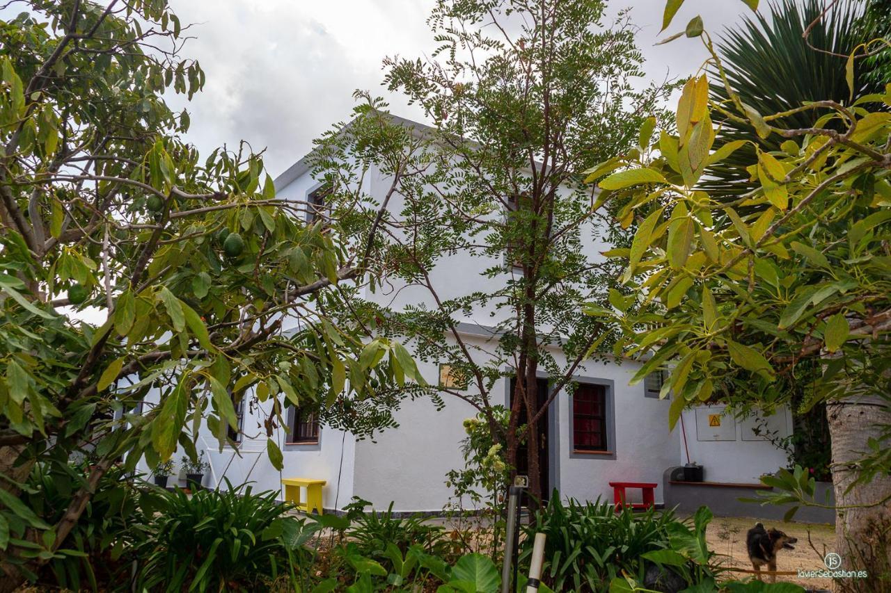 Bodega Goyo Apartment Puntallana
