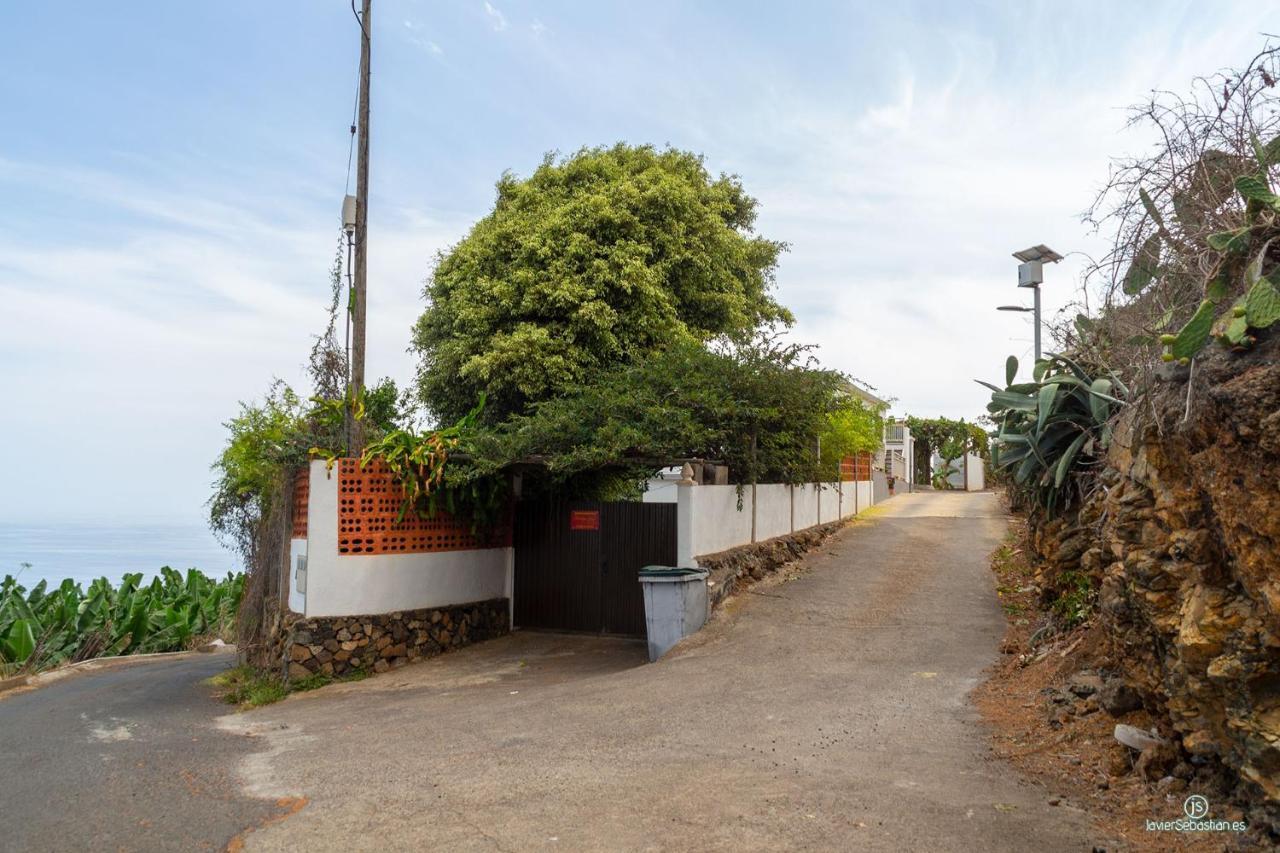 Apartment Bodega Goyo *