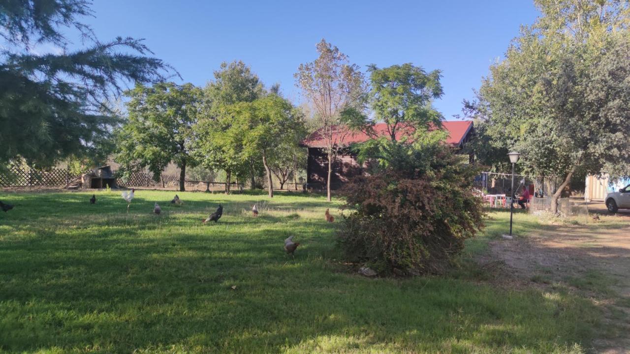Farm stay Tabla Honda El Robledo (Ciudad Real)
