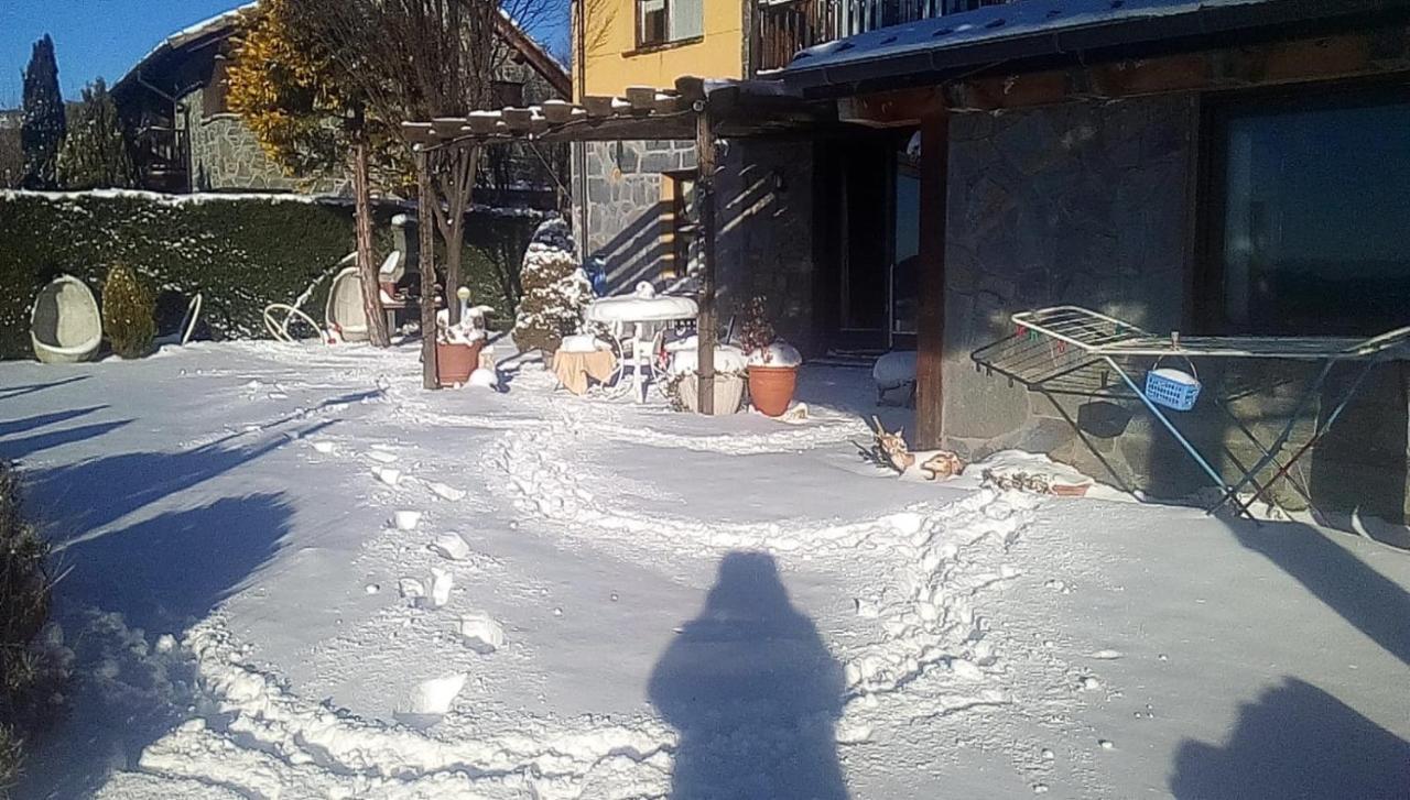 Casa Rous Homestay