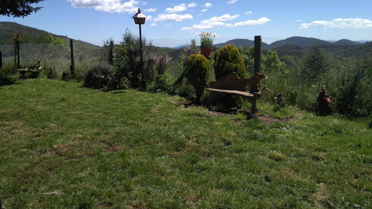 Homestay Casa Rous
