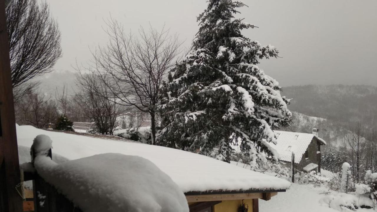 Casa Rous Mollo