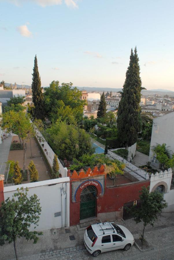 Estudio Con Vistas Albayzin Granada
