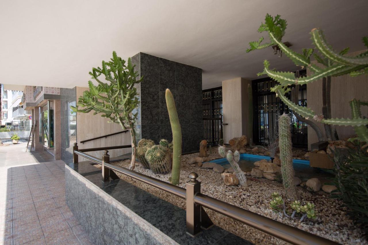 Las Palmeras 15a Apartment Benidorm