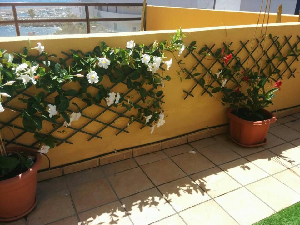 Apartment 431 - Edif Aguamarina - Vacation In The Coast Line Of Golf Del Sur *