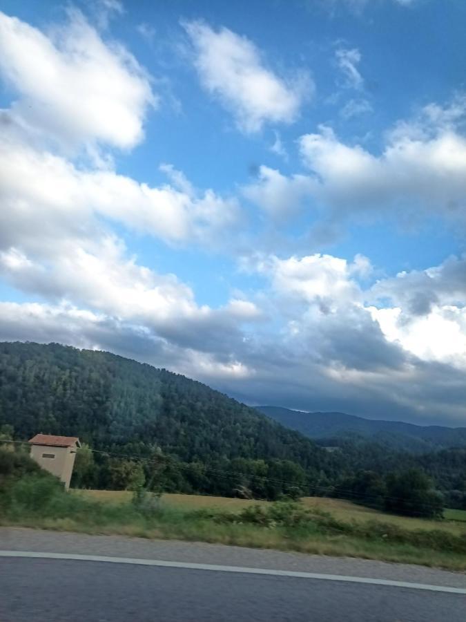 Casa Rous Homestay