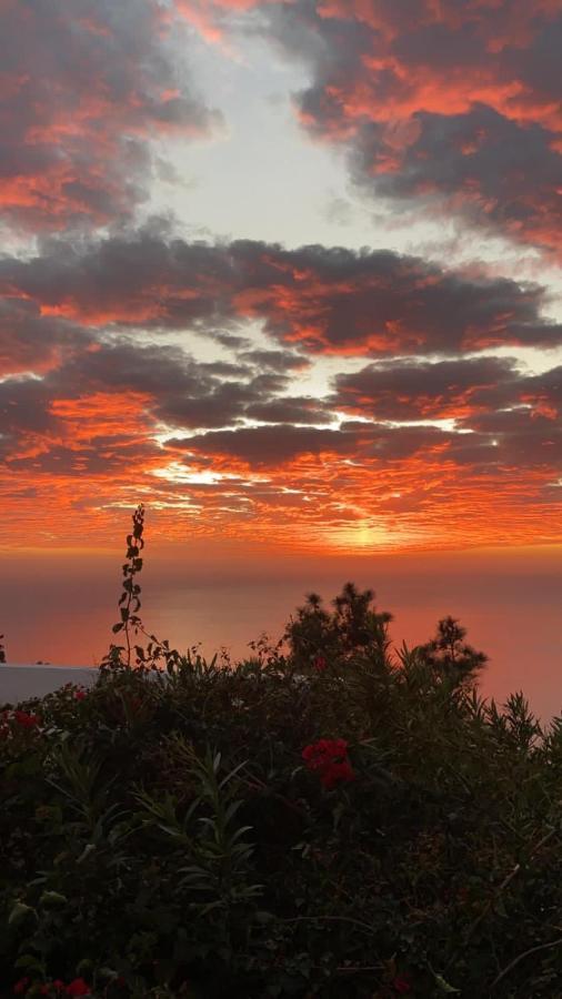 Colon Fuencaliente de la Palma