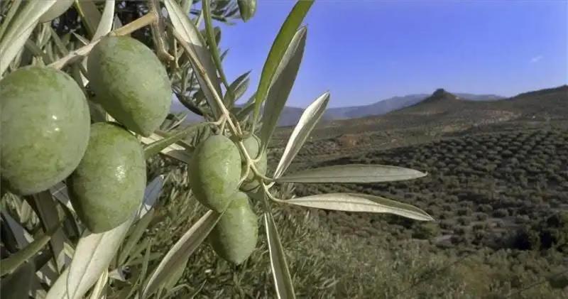 El Convento Vivienda Rural Jaen Andalucia Espana Holiday home Carchelejo