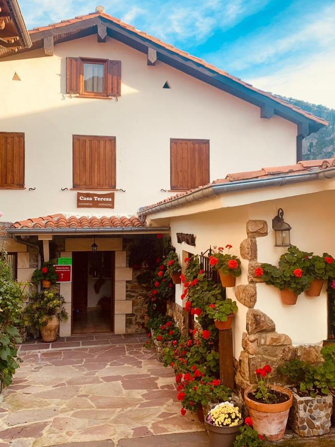Casa Teresa Camaleno
