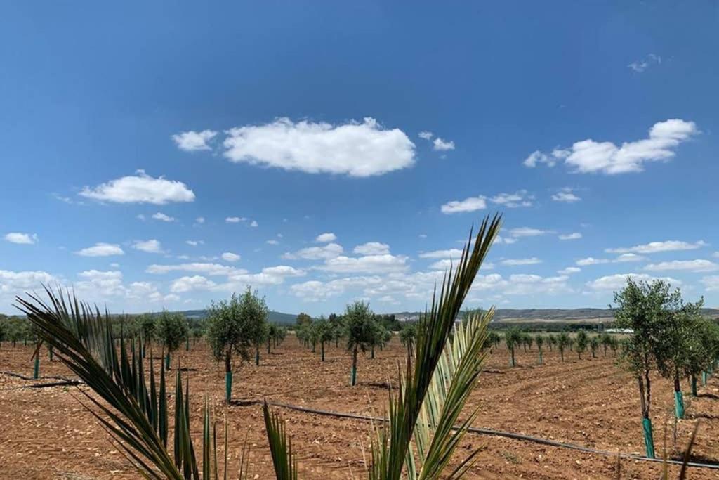 Tejoneras