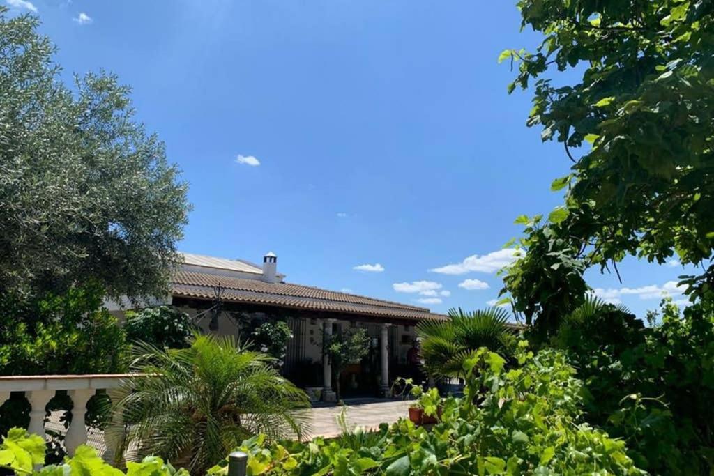 Chalet Tejoneras *