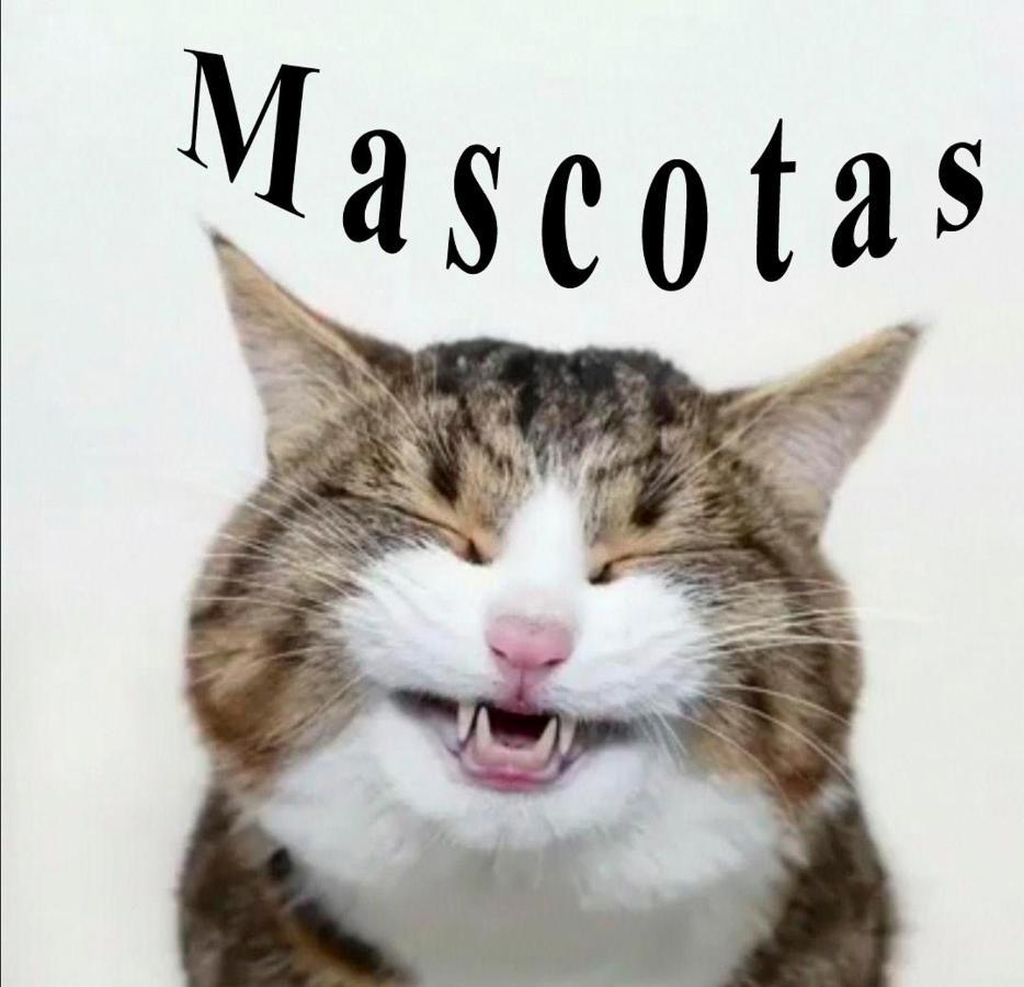 Inmobiliaria - Admite Mascotas Formigal